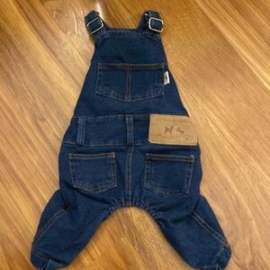 Adorable Medium Size Denim Dog Overalls